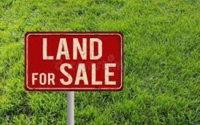 Land For Sale Kenya FILE:COURTESY