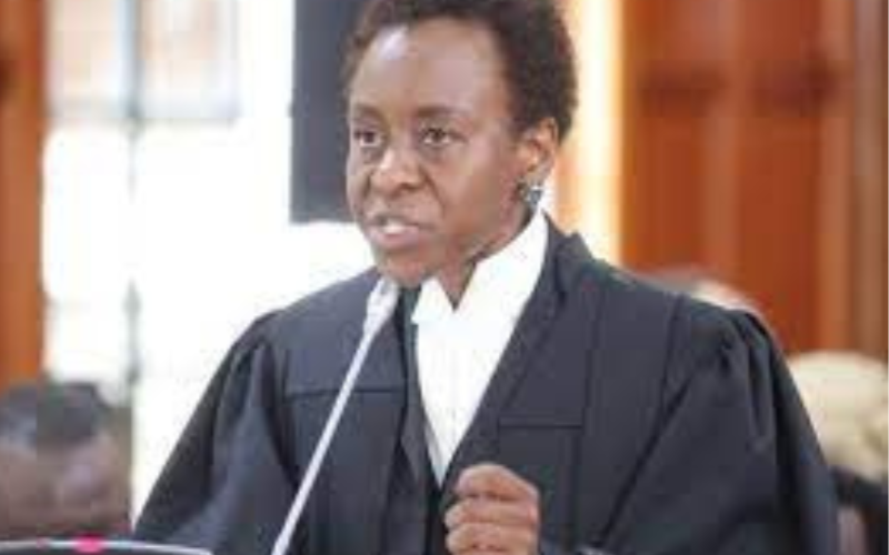 Constituyional lawyer Julie Soweto File:Courtesy