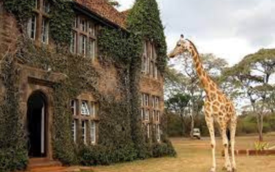 Exciting Holiday Destinations in Kenya
